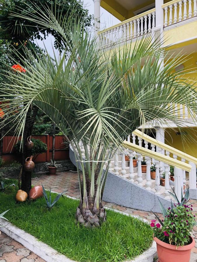 George'S House Hotel Kobuleti Exterior photo